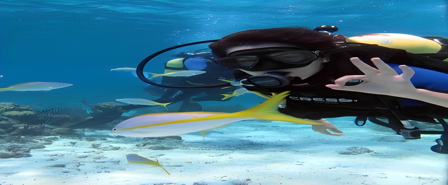 Buceo